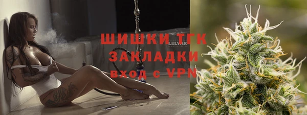 шишки Краснослободск