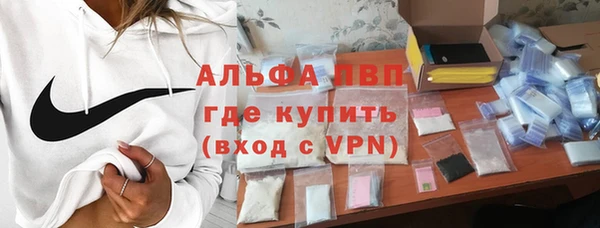 шишки Краснослободск