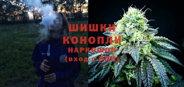шишки Краснослободск