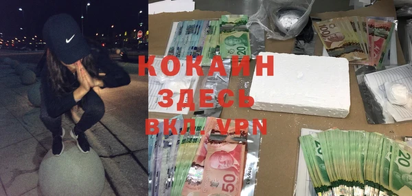 шишки Краснослободск