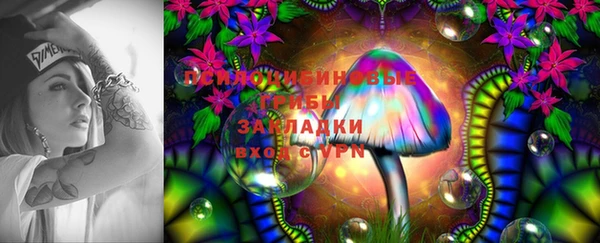 шишки Краснослободск