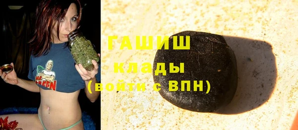 шишки Краснослободск
