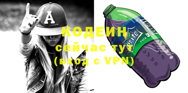 шишки Краснослободск