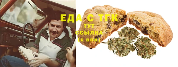шишки Краснослободск